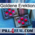 Golden Erection 15